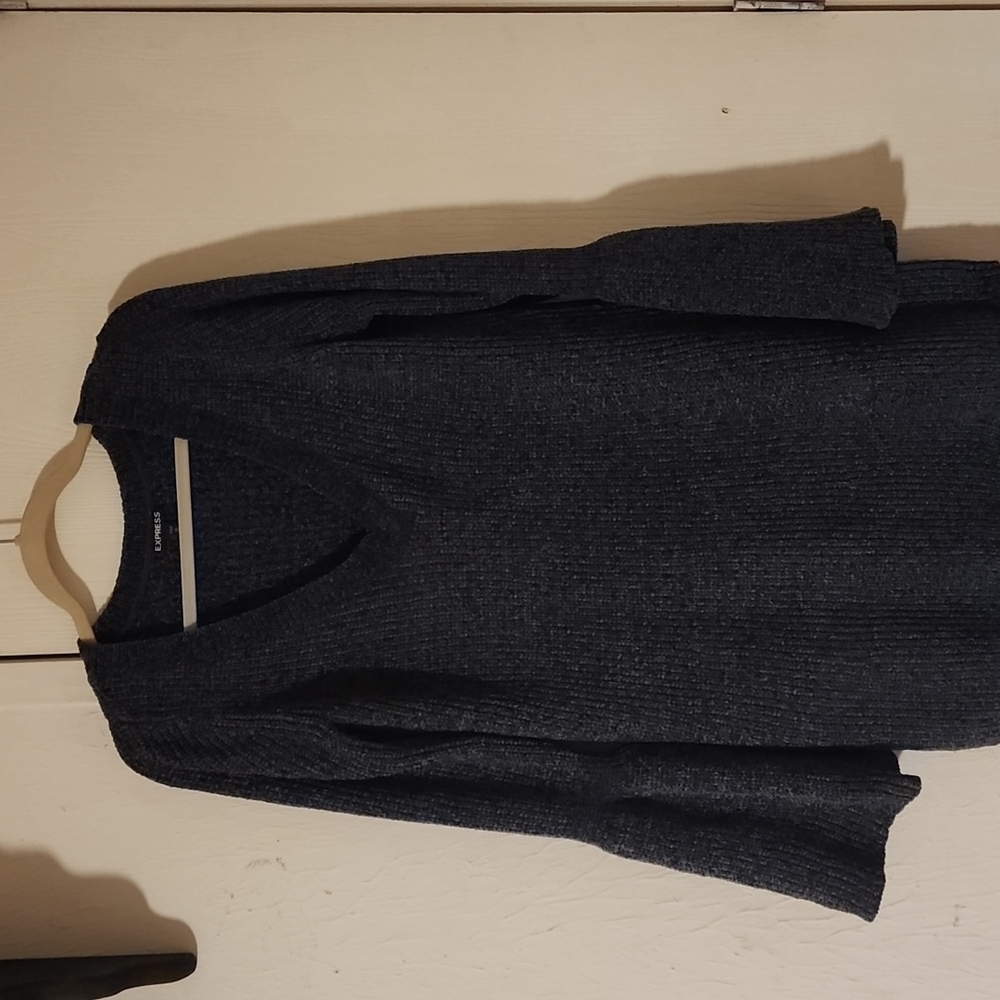 Express sweater dress